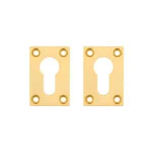 Slim Escutcheon (Pair) Satin Brass